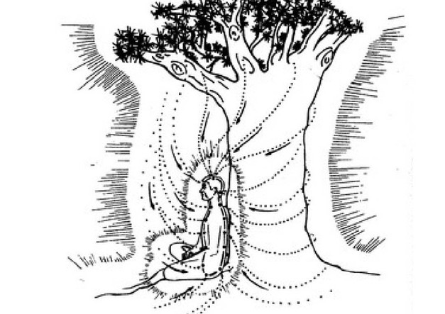 Meditation while sitting under a tree