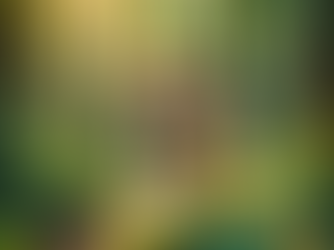 Why & When to Purchase the Asher House Wellness Multi-Vitamin Chew