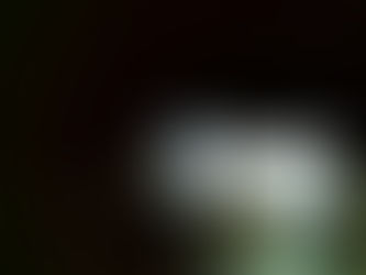 ישראל בדרך לירח: "בראשית" תיעדה זריחה מעל כדור הארץ צפו