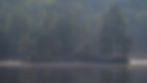 DSC_6990.jpg