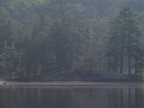Guided Wildlife and Loon Photography Paddle with Andrew Hudnut and The Adirondack Center for Loon Conservation