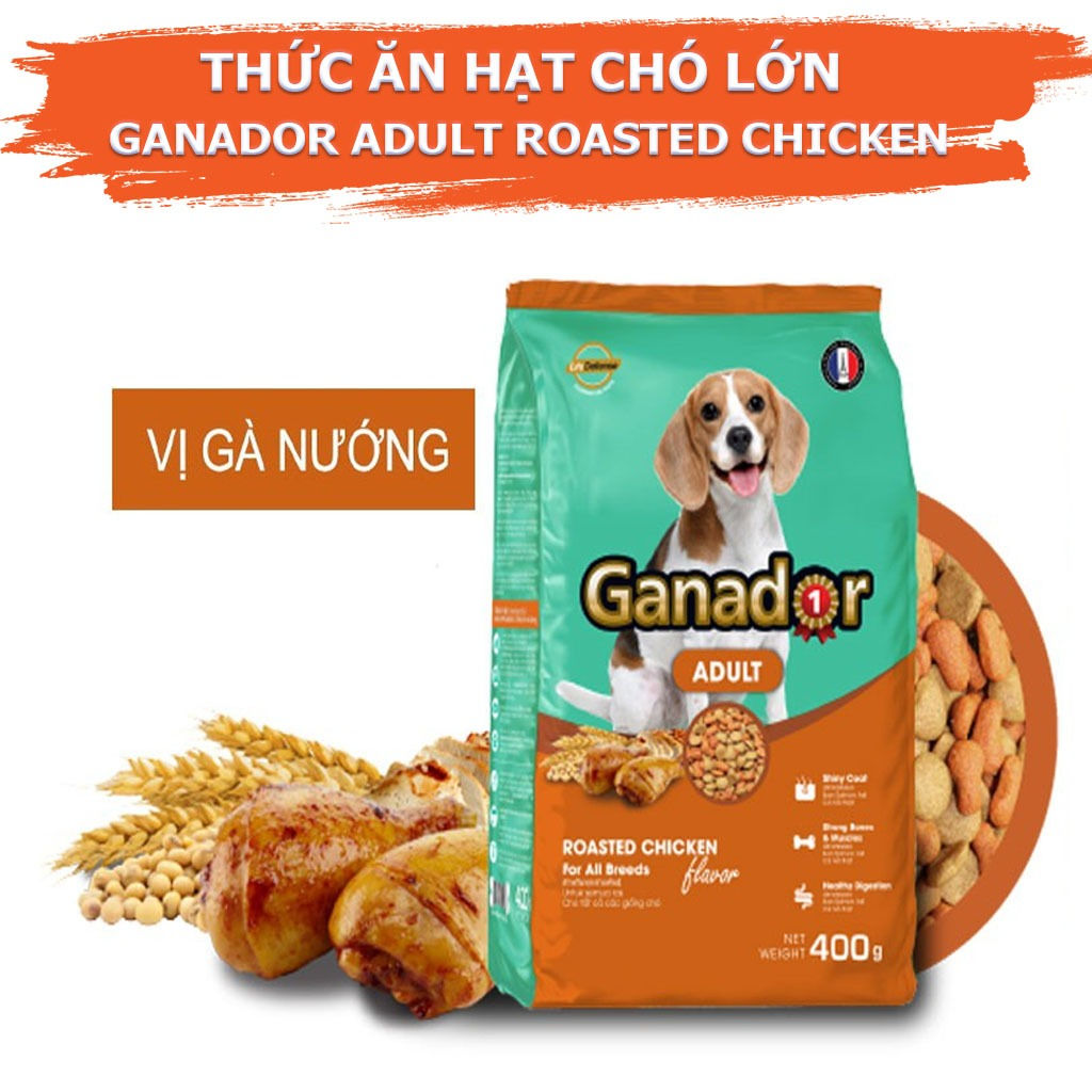 Thức ăn cho chó trưởng thành Ganador 400g vị gà