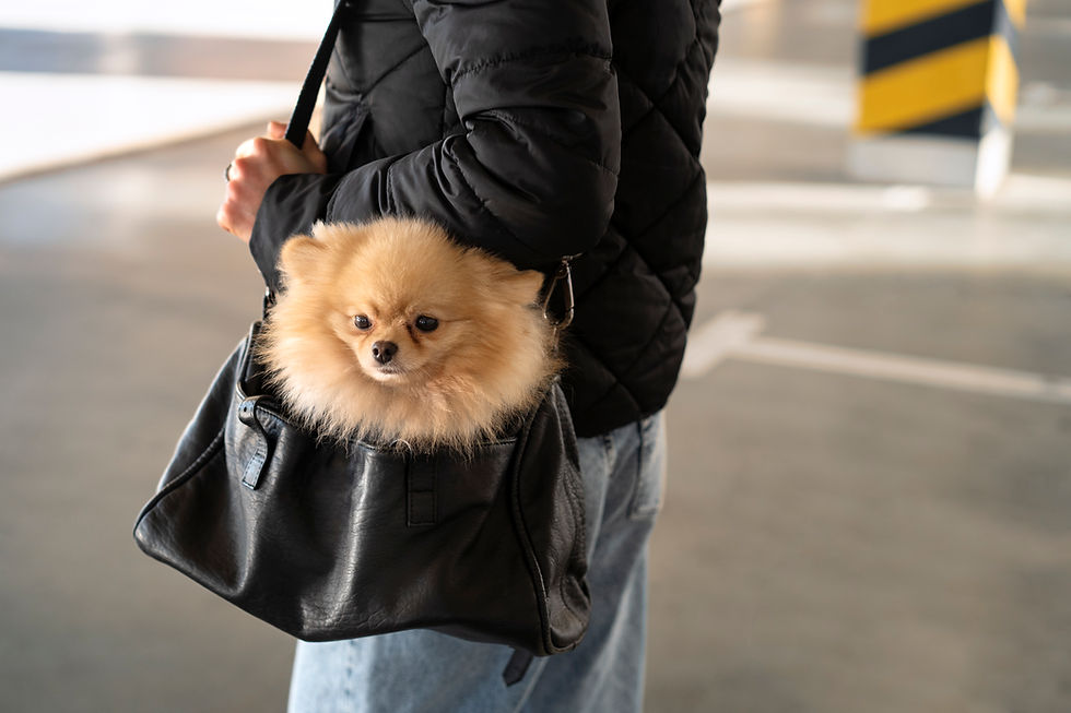 side-view-woman-with-cute-dog