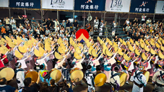 THE AWAODORI 2026 閉幕