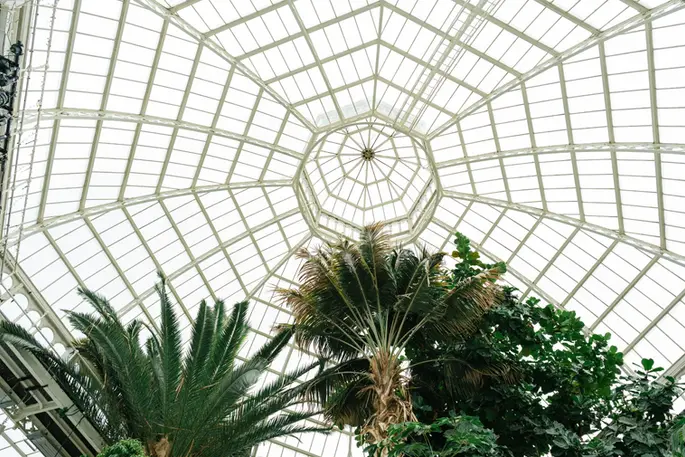 Sefton Park Palm House Wedding Photography