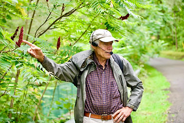 20230805_Nature Walk_Jack Gulvin_ARJ_58.jpeg