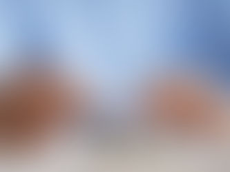 Why should you work with a reputable law firm in 2022 if you need assistance with company financing?