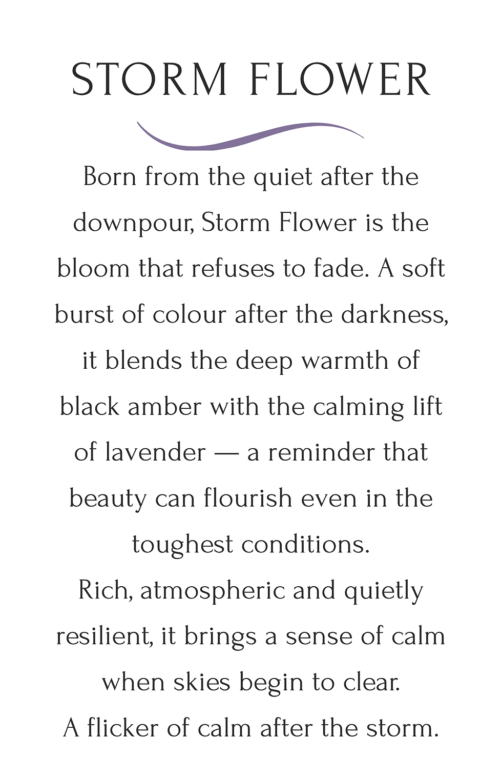 Thumbnail: Stormbound Collection - Botanical wax melt box - Storm Flower & Moon Berry
