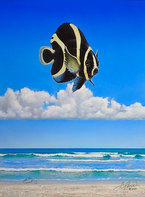 French Angelfish W_S.png