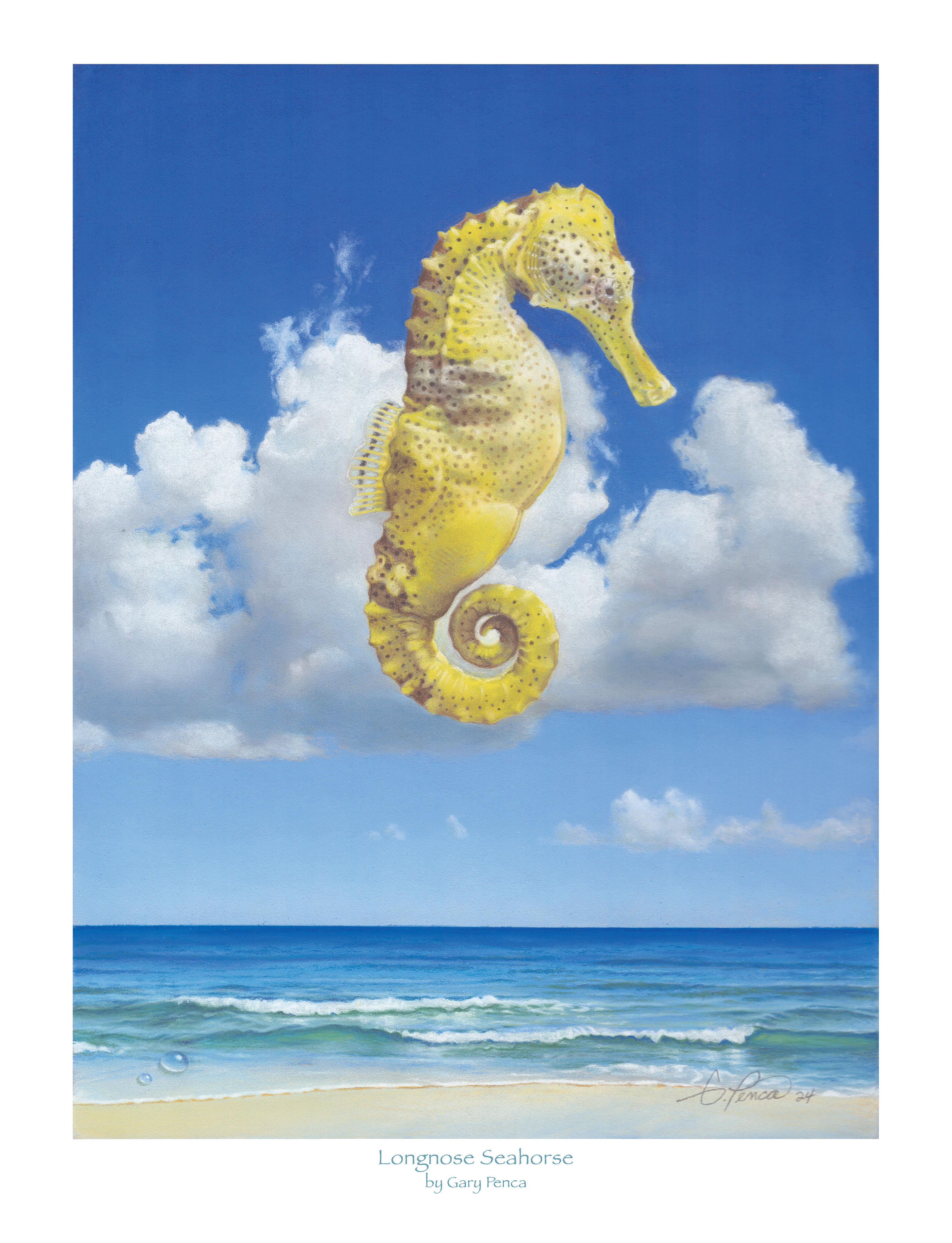 Longnose Seahorse