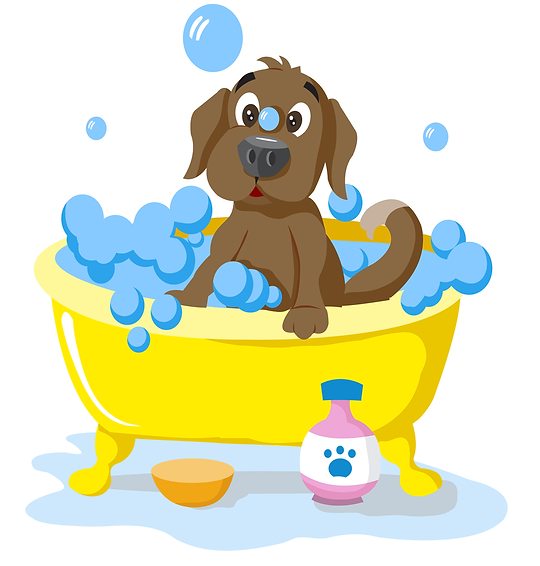 DOG WASH Gateshead Car Wash