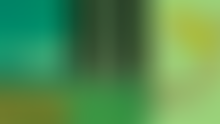 CSDD: Provisional agreement on the EU Corporate Sustainability Due Diligence Directive