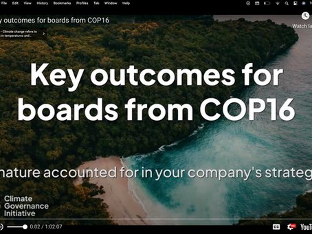 Key outcomes for boards from COP16: Is nature accounted for in your company’s strategy?