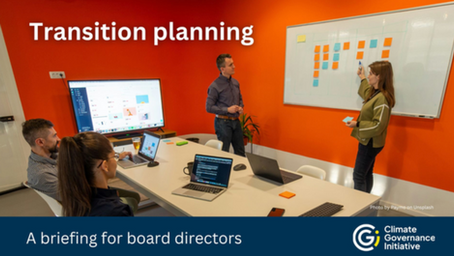 Transition planning: a global outlook for board directors