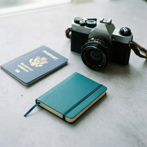Travel Diaries