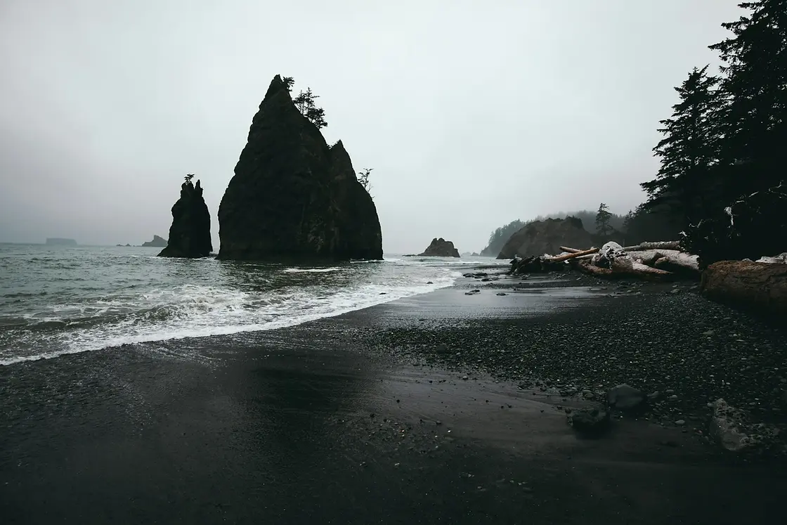 ifs-therapist-seattle-washington.webp