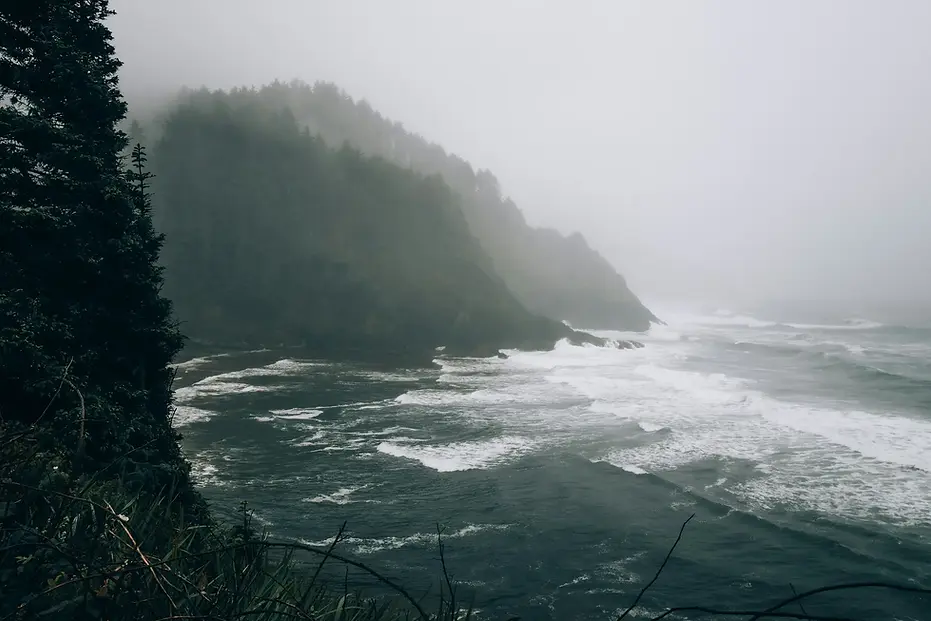 ifs-therapy-seattle.webp