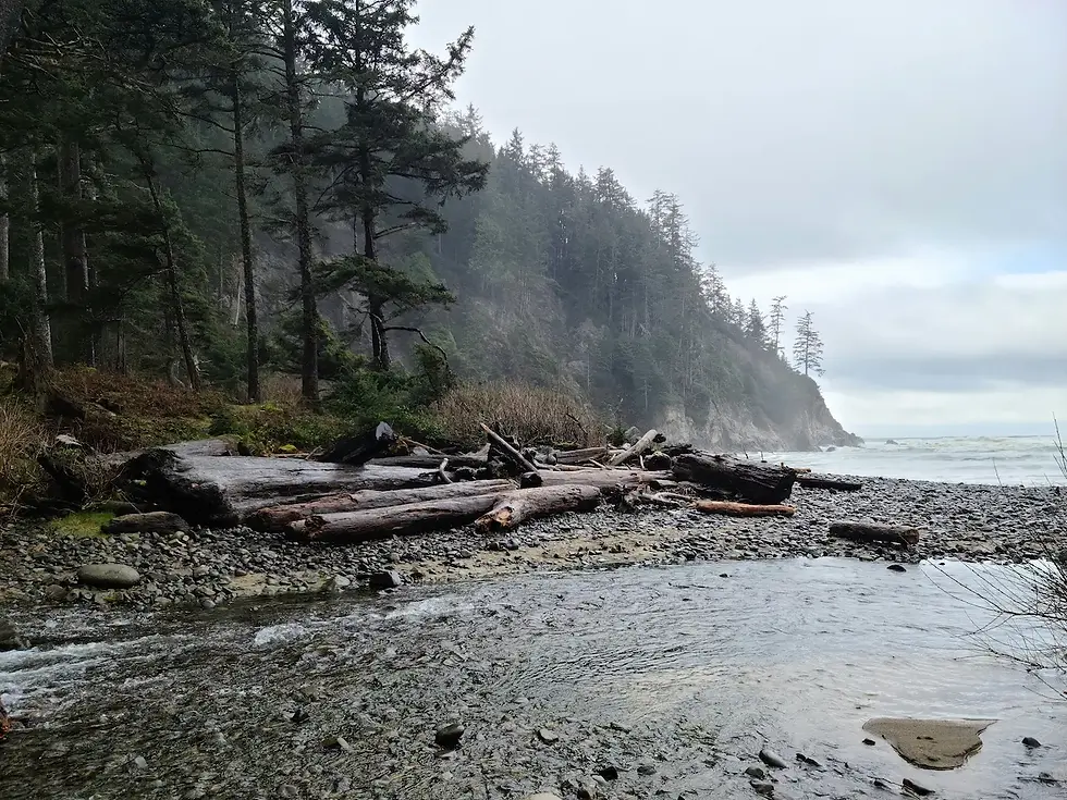 religious-trauma-therapy-seattle-washington.webp