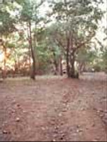 mbbc_facility-8.jpg