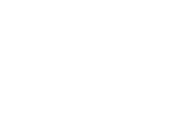 cso logo2.png