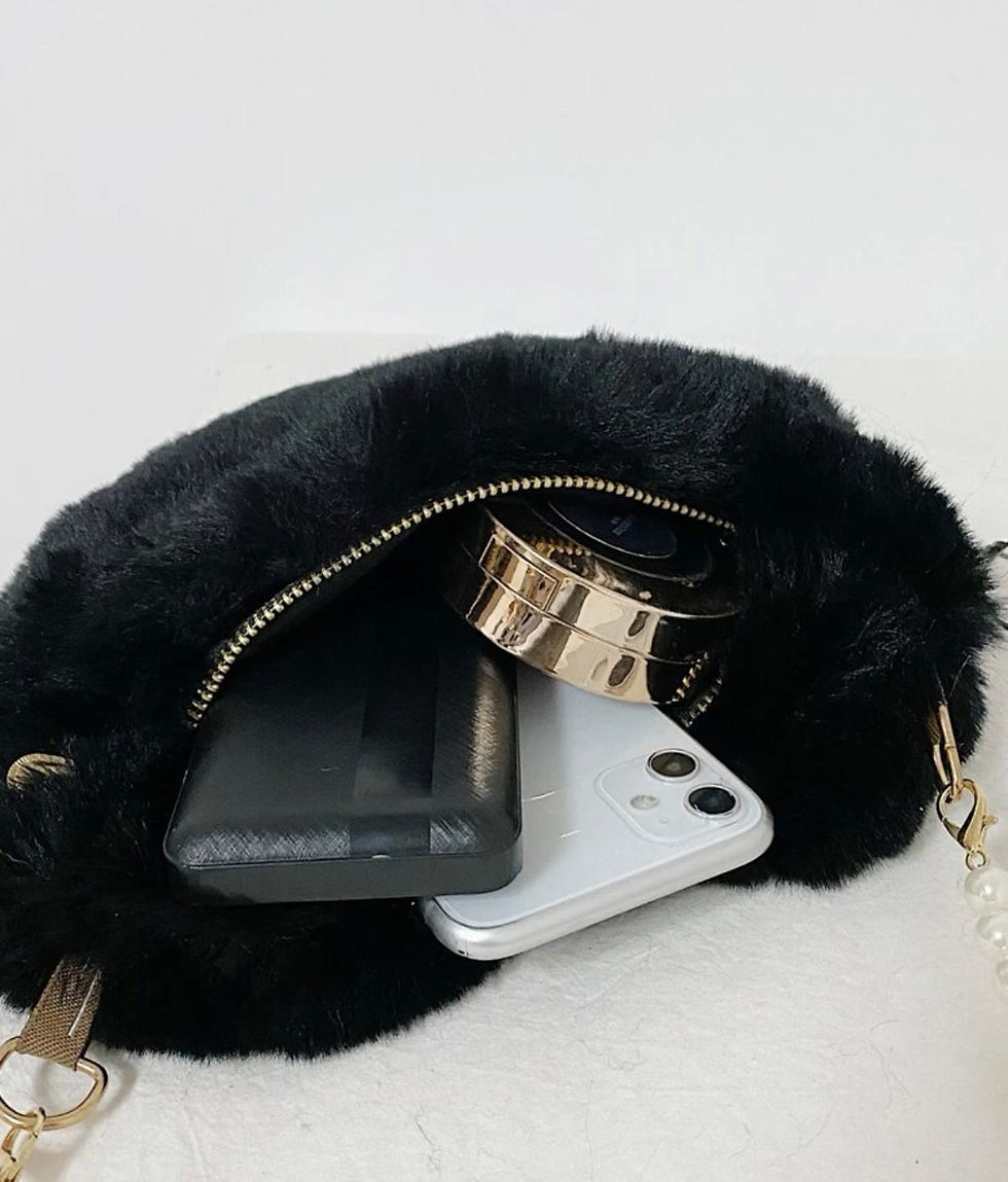 الصورة المصغرة: B22 حقائب شي ان