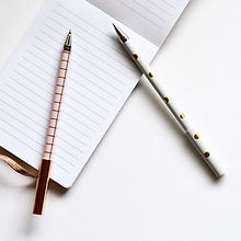 Two Pens on Notebook