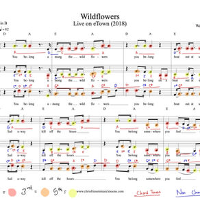 Vocal Harmony for Wildflowers (Wailin' Jennys cover Tom Petty)