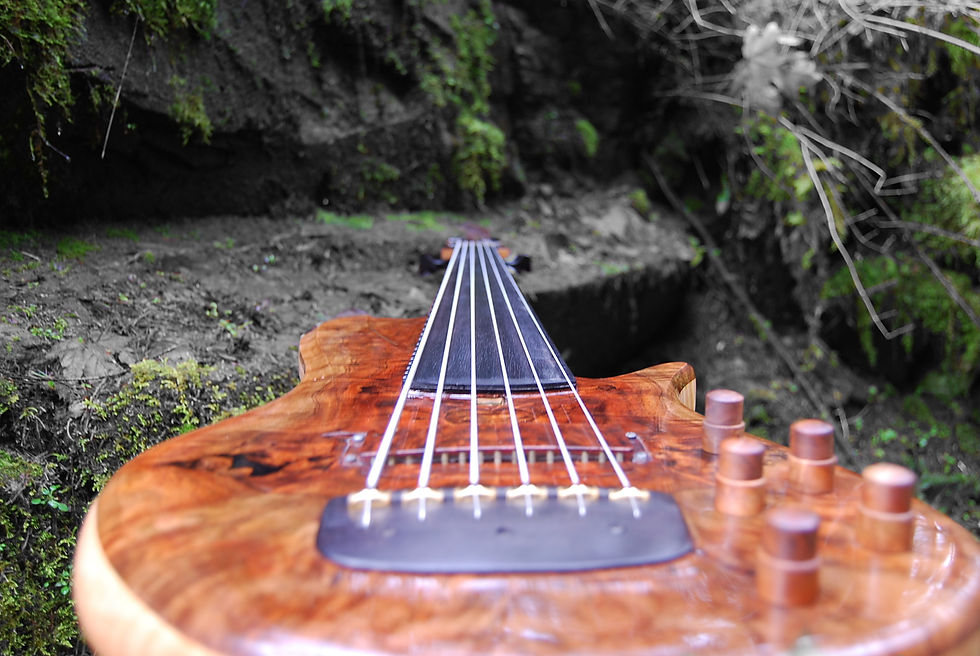 Cjf music David King Bass 2