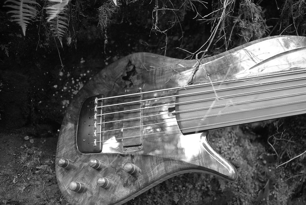 Cjf music David King Bass 9
