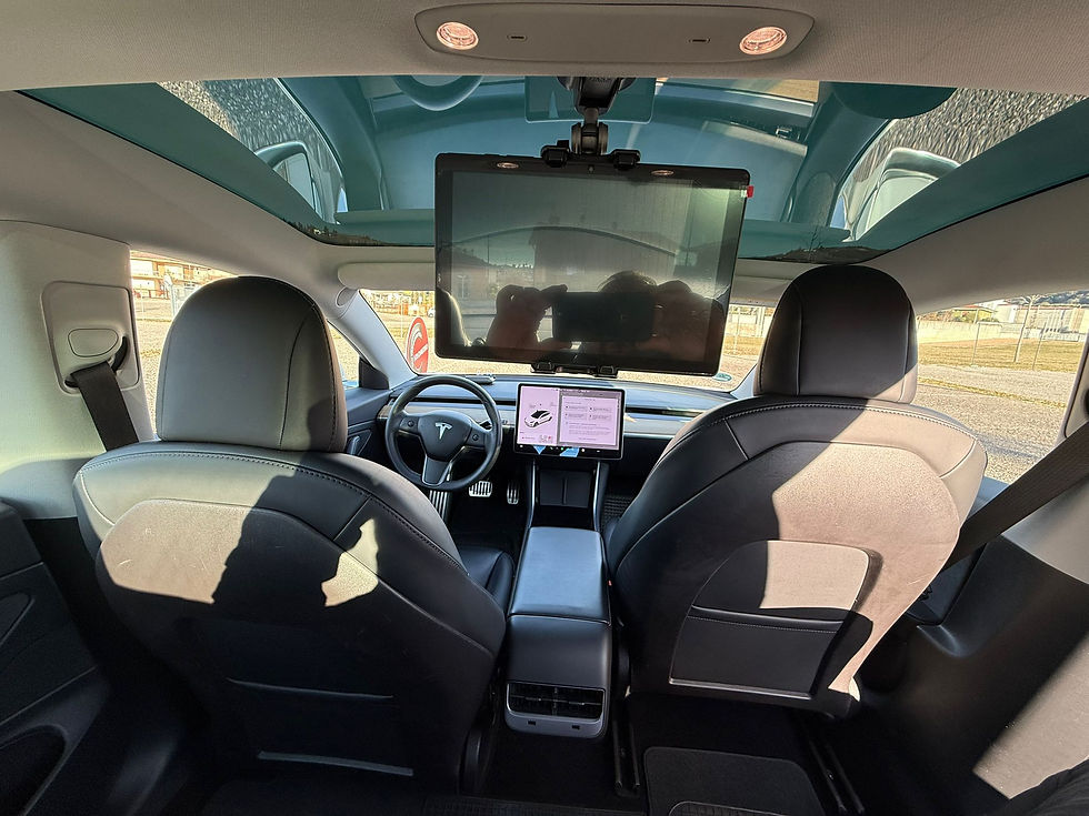 Miniatura: Tesla Model 3 Standard Range Plus | Anno 2019 | Km 163.000 | Elettrica