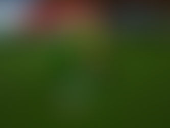 Spalding Utd contrive to be masters of their own downfall.