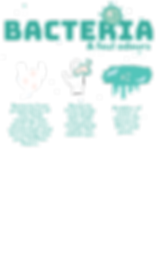 Biocare ESSENTIAL KITCHEN CARE (2).png
