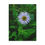 Thumbnail: White Daisy in Bloom – Timeless Nature Canvas