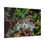 Thumbnail: Pure Whisper: Elegant White Bloom on Canvas