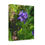 Thumbnail: Blue-Violet Wildflower – Tranquil Meadow Blooms Canvas Wall Art