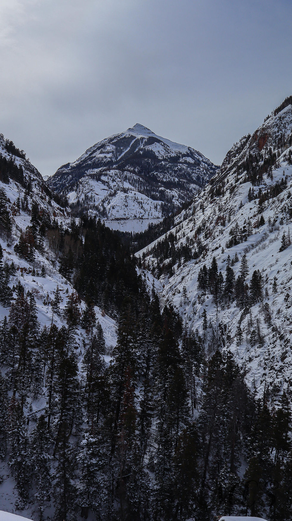 Close-up view of icicles hanging from a frozen waterfall
