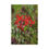 Thumbnail: Cardinal Flower in Bloom – Vibrant Red Wildflower Canvas Art