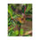 Thumbnail: True Brushfoot Butterfly Resting on Leaf – Nature-Inspired Wildlife Canvas