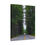 Thumbnail: Scenic Forest Road in Washington – Long Stretch Through Towering Evergreen Trees