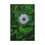 Thumbnail: White Daisy in Bloom – Timeless Nature Canvas