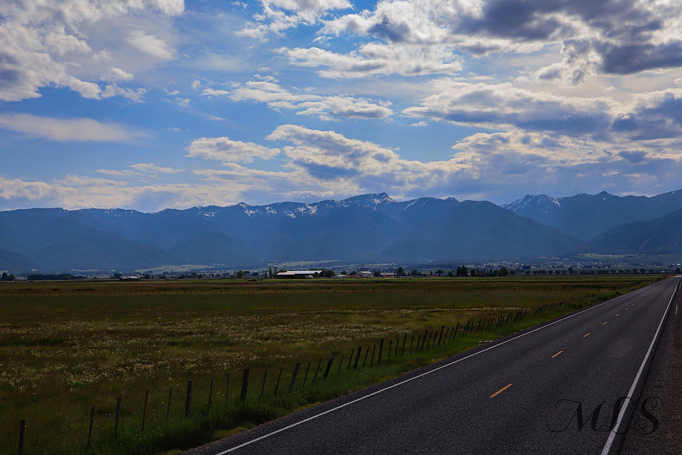 How to Choose the Perfect Canvas Print for Your Home