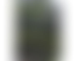 2025 Home Decor Trends: How Colorado Landscape Canvas Prints Fit In