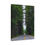 Thumbnail: Scenic Forest Road in Washington – Long Stretch Through Towering Evergreen Trees