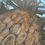 Thumbnail: UNDAUNTED |  60X36"