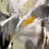 Thumbnail: IMMERSED    |      16x16"