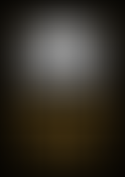 BCM has sponsored The 4th Edition Of Mouse Lemur Workshop 2025