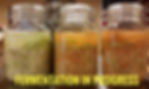 Fermentation in progress.jpeg