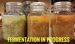 Fermentation in progress.jpeg