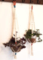 Christmas Macramé Hanging Planter with Festive Plant