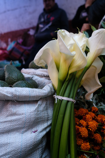 Alcatraces y flores de cempasúchil en costales dentro del mercado
